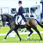 William Fox-Pitt - @foxpittfans - Instagram
