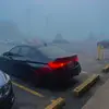 William.fox - @william.fox5 - TikTok