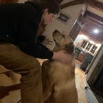 William Freitag - @williamfreitag14 - Instagram