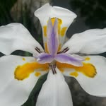 William H. Freitag - @williamh.freit - Instagram