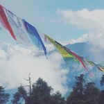 William Frick - @wmfrick - Instagram