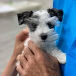 William Fricks - @william.fricks.44 - Instagram