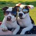 Billy Friedlander - Facebook