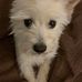 William Fulghum - Facebook