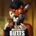 William David Fox - @williamfurryfox - Instagram