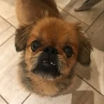 Gabe - @william.gabe - Instagram