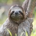 William Gallimore - @slothking2001 - Instagram