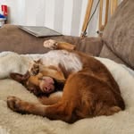 William Gallimore - @w01540602024 - Instagram
