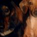 William Gallucci - Facebook