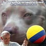 William Galvis - @william.galvis.9849 - Instagram