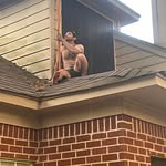 William Gammel - @william.gammel - Instagram