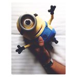 William Gans - @updatespebb - Instagram