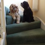 william garbutt - @garbutt.william - Instagram