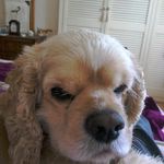 william garbutt - @wgarbutt2 - Instagram