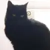 williamgarbutt77 - @williamgarbutt77 - TikTok