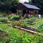 William B Travis Elementary School Garden - @traviselementarygarden - Instagram