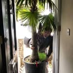william frost gardens - @williamfrostgardens - Instagram