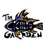 William Garden - @thecichlidgarden - Instagram