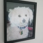William Garden - @bgarden1949 - Instagram