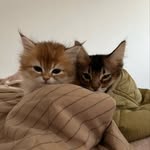 윌리엄가든 - @william_garden_ - Instagram