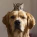 William Garden Animals - Facebook