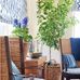 William Laman Furn Garden Antique - Facebook
