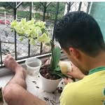 William Virgulino - @williamgarden2017 - Instagram