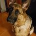 Bill Garlitz - Facebook
