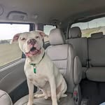 William Gaskins - @williamgaskinsgaskins - Instagram
