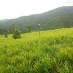 Gasper William - @gasper.william.735 - Instagram