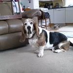 William Gassert - @williamgassert - Instagram