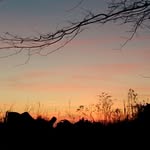 William Gatchell - @william.gatchell.3 - Instagram