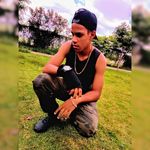 william - @williamgatinhu - Instagram
