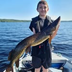 @william_gatorsweden - Instagram