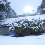 William Gauld - @berrydale_croft - Instagram