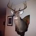 William Gaumer - Facebook