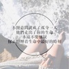 William Gentile - @williamgentile4992 - TikTok