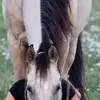 williamgerhardt14 - @william.gerhardt8 - TikTok