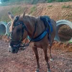 Maria Cláudio - @williamgeronimo30 - Instagram