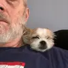Mark Gidley - @williammarkgidley - TikTok