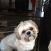 Bill Gierke - Facebook