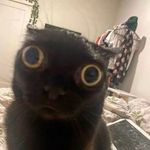 Piotr Yello - @williamgieszel - Instagram