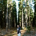 Will Giessauf - @william_giessauf - Instagram