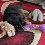 William Gies - @gieswilliam - Instagram