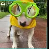 William Giese - @williamgiese - TikTok