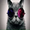 willim_gilday - @willim_gilday - TikTok