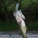 William Gilpin - Facebook