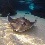Wally Kee - @william.glock.754 - Instagram