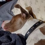 William Godard - @william_godard - Instagram