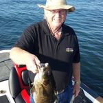 William Goede - @goedewilliam - Instagram